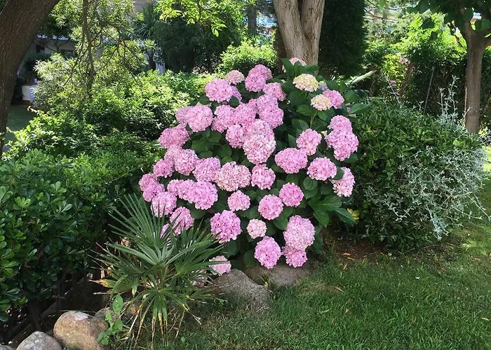 Lujoso Piso Enfrente De Playa De Fenals, 2 Terrazas