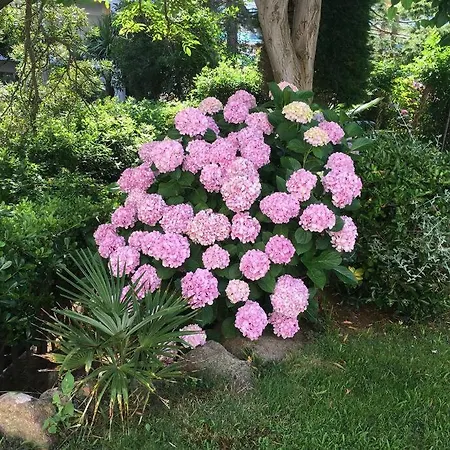 Lujoso Piso Enfrente De Playa De Fenals, 2 Terrazas